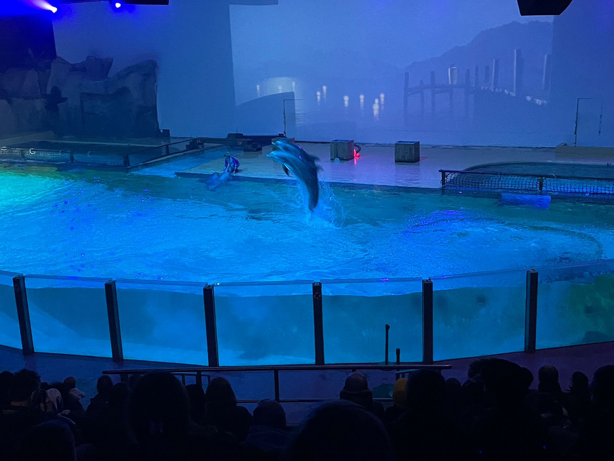 Sint-Martinus den XIIde - Winterkamp JVK 2024